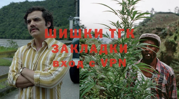 a pvp Алзамай