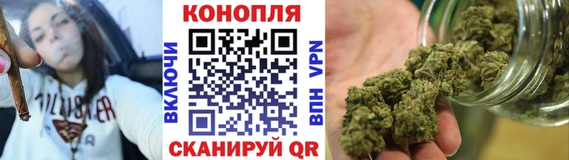 Конопля гибрид  Курлово 